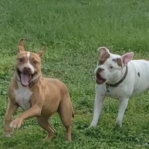 Meet your Posher, Liz